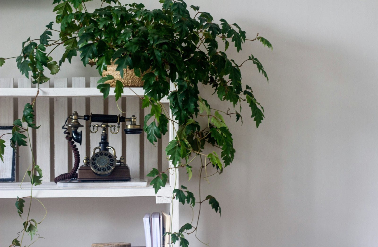uma prateleira branca com um relógio e uma planta